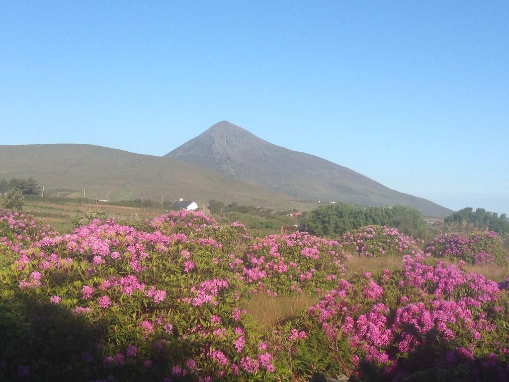 Achill Water'S Edge Bed and Breakfast Doogort Εξωτερικό φωτογραφία